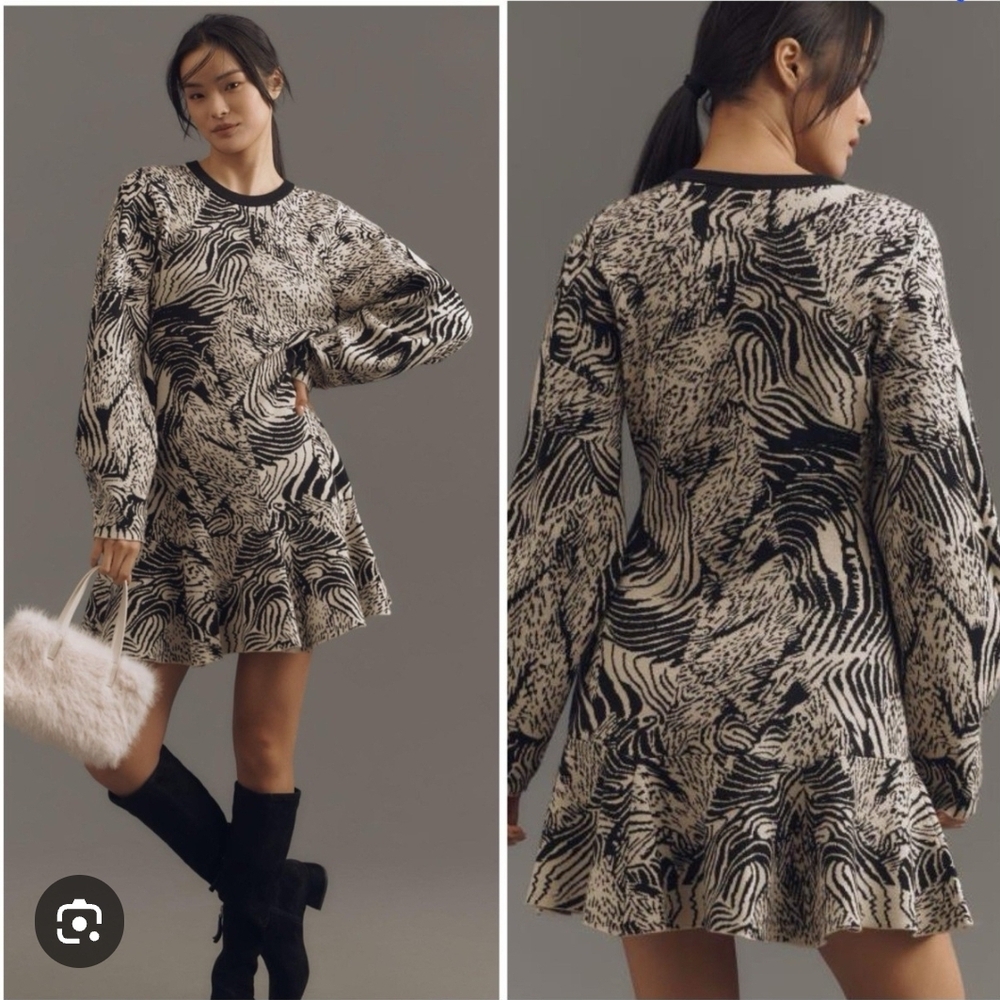 Anthropologie Zebra Print Mini Dress